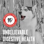 BIXBI Liberty Freeze-Dried Dog Food Topper & Treats, Beef – 98% Meat & Organs, No Refrigeration – USA Made, 12 oz - Image 5