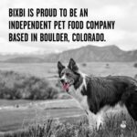 BIXBI Liberty Freeze-Dried Dog Food Topper & Treats, Beef – 98% Meat & Organs, No Refrigeration – USA Made, 12 oz - Image 9