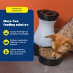 PetSafe Healthy Pet Food Station - Medium, 4 lb Kibble Capacity - Gravity Pet Feeder Dry Food Dispenser, Automatic Cat Feeder, Small to Medium Dog Feeder - Removable Stainless Steel Bowl Included - Image 4