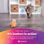SmartyKat Chickadee Chirp Electronic Sound Cat Toy, Contains Catnip, Battery Powered - Light Brown, One Size - Image 6