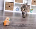 SmartyKat Chickadee Chirp Electronic Sound Cat Toy, Contains Catnip, Battery Powered - Light Brown, One Size - Image 11