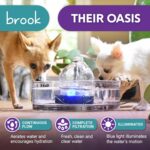 Brook Glass Pet Fountain (90oz/2.7L) – Cat & Dog Water Fountain – Glass Cat Fountain & Automatic Water Dispenser for Drinking - Image 3