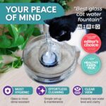 Brook Glass Pet Fountain (90oz/2.7L) – Cat & Dog Water Fountain – Glass Cat Fountain & Automatic Water Dispenser for Drinking - Image 4