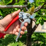 Ultra Sharp Germany Titanium Steel Pruning Shears - Cuts 3X Easier, Weak Hand Arthritis Snips, Rust-Resistant, Effortlessly 1-Inch Cut Capacity Garden Scissors, Ergonomic Handle (gt-04, 1) - Image 7