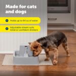 PetSafe Oasys 1/2 Gallon Pet Fountain for Cats and Small Dogs 1/2 Gallon Water Capacity Adjustable Flow Control Fresh, Filtered Water Easy to Clean - Extra Filters Included - Image 8