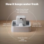 PetSafe Oasys 1/2 Gallon Pet Fountain for Cats and Small Dogs 1/2 Gallon Water Capacity Adjustable Flow Control Fresh, Filtered Water Easy to Clean - Extra Filters Included - Image 9