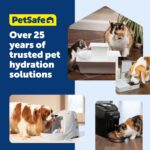PetSafe Oasys 1/2 Gallon Pet Fountain for Cats and Small Dogs 1/2 Gallon Water Capacity Adjustable Flow Control Fresh, Filtered Water Easy to Clean - Extra Filters Included - Image 10