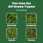 Scotts Turf Builder Lawn Food - Fertilizer for Grass, for All Grass Types, 15,000 sq. ft., 37.50 lb. - Image 6