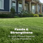 Scotts Turf Builder Lawn Food - Fertilizer for Grass, for All Grass Types, 15,000 sq. ft., 37.50 lb. - Image 8