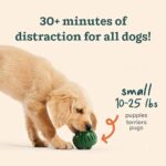 WOOF Starter Pack - Interactive Dog Ball Toy for Boredom - Dog Treat Molds Silicone - Chicken-Flavored Healthy Treats for Dogs - Pupsicle Doggy Enrichment Toy - for Small Pups - 10-25 lbs - Image 5