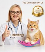 PetBusy Cat Toys with[5000mg A+Natural Catnip &Silvervine] [Baby Grade] Interactive Soft Chew Kicker Cat Toys for Indoor Cats & Kittens, [Crinkle &Bell] Fish Sound Toy, Drives Bored Cat Crazy with Fun - Image 9