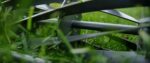 Earthwise 1715-16EW 16-Inch 7-Blade Push Reel Lawn Mower, Grey - Image 13
