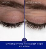 Augustinus Bader Women's The Eyebrow & Lash Enhancing Serum - Image 3