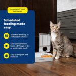 PetSafe Analog 2 Meal Programmable Pet Feeder, Automatic Dog and Cat Feeder - Dry or Semi-Moist Pet Food Dispenser, Slow Feed Portion Control (3 Cup/16 Ounce Total Capacity), Tamper-Resistant Design - Image 3