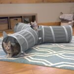 Kitty City Cat Tunnel, Cat Bed, Tunnel, Cat and Kitty Toys - Image 4