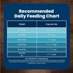 Blue Buffalo Life Protection Formula Chicken & Brown Rice Small Breed Senior Dry Dog Food, Supports Immunity With Antioxidant-Rich LifeSource Bits, Promotes Healthy Muscles, Skin & Coat Health, 5 lbs. - Image 9