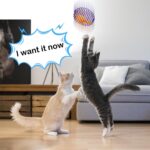 Jecery 5 Pcs Cat Spring Balls Toys Stretchable Rolling Balls Colorful Playful Coils Interactive Action Toy Caged Rats for Kitten Pet Supplies (Mouse,Multicolor) - Image 7