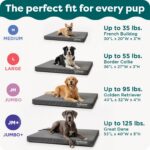 Furhaven Water-Resistant Orthopedic Dog Bed for Large/Medium Dogs w/ Removable Washable Cover, For Dogs Up to 55 lbs - Indoor/Outdoor Logo Print Oxford Polycanvas Mattress - Forest, Large - Image 7