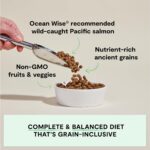 Open Farm, Ancient Grains Dry Dog Food, Protein-Rich & Nutrient Dense, 90% Animal Protein Mixed with Non-GMO Fruits, Veggies and Superfoods, Wild Caught Salmon Recipe, 22lb Bag - Image 3