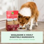 Open Farm, Ancient Grains Dry Dog Food, Protein-Rich & Nutrient Dense, 90% Animal Protein Mixed with Non-GMO Fruits, Veggies and Superfoods, Wild Caught Salmon Recipe, 22lb Bag - Image 4