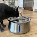 KittySpout Stainless Steel Cat Water Fountain Automatic Drinking Fountain, Quiet Circulating Water Bowl, Dishwasher Safe, Indoor Pet Fountain for Hydrated Healthy Cats (Stainless Steel, 4L Corded) - Image 10