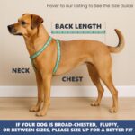 Spark Paws Dog Cooling Vest - SPF 50 UV Sun Protection - Summer Heat Relief Gear for Dogs, Lightweight, Evaporative Cooling - Dog Anxiety Relief Vest During Hot Days - Snowcone, 2XL - Image 8
