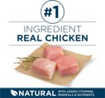 Purina ONE Plus Large Breed Adult Dog Food Dry Formula, Real Protein Rich Natural Chicken Flavor - 40 lb. Bag - Image 5