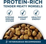 Purina ONE Plus Large Breed Adult Dog Food Dry Formula, Real Protein Rich Natural Chicken Flavor - 40 lb. Bag - Image 9