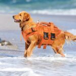 Kuoser Dog Life Jacket High Flotation, Reflective Dogs Life Vest for Swimming Boating, Adjustable Small Medium Large Dog lifejacket, Lightweight Dogs Life Preserver Rescue Handle Spring Summer Pool - Image 9