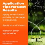 Scotts Turf Builder SummerGuard Lawn Food with Insect Control, 5,000 sq. ft. - Image 6