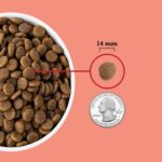 ACANA Grain Free Dry Dog Food Red Meat Recipe 4.5lb Bag - Image 6