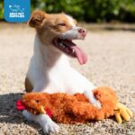 Best Pet Supplies Interactive Squeaky Dog Chew Toy, Ideal Dog Toys for Chewers, Small, Medium & Large Dogs, and Fetch Lovers - Crinkle Chicken (Brown), Large - Image 6