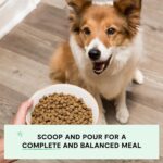 Open Farm, Grain-Free Dry Dog Food, Complete & Balanced Kibble, Sustainably & Ethically Sourced Ingredients, Non-GMO Veggies & Superfoods to Support Overall Health, Wild-Caught Salmon Recipe, 22lb Bag - Image 4