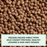 Open Farm, Grain-Free Dry Dog Food, Complete & Balanced Kibble, Sustainably & Ethically Sourced Ingredients, Non-GMO Veggies & Superfoods to Support Overall Health, Wild-Caught Salmon Recipe, 22lb Bag - Image 5