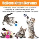 21 Pcs Cat Toys for Indoor Cats Collapsible Cat Tunnel Interactive Feather Teaser Wand Ball Toy for Kitten Cats - Image 4