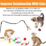 21 Pcs Cat Toys for Indoor Cats Collapsible Cat Tunnel Interactive Feather Teaser Wand Ball Toy for Kitten Cats - Image 5