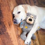 KONG Wild Knots Bears - Durable Dog Toys with Internal Knotted Ropes and Minimal Stuffing for Less Mess (Assorted Colors) (Medium/Large) - Image 3