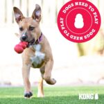 KONG Wild Knots Bears - Durable Dog Toys with Internal Knotted Ropes and Minimal Stuffing for Less Mess (Assorted Colors) (Medium/Large) - Image 8