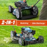 SENIX 144 cc Gas Lawn Mower, 21 inch 2-in-1 Push with Mulching and Side Discharge, 4-Cycle Engine, 6 Position Cutting Height Adjustment for Yard and Garden - Image 3
