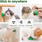 Potaroma Catnip Toys Balls 4 Pcs, Extra Cat Energy Ball, Edible Kitten Silvervine Toys for Cats Lick, Healthy Kitty Teeth Cleaning Dental Chew Toys, Cat Wall Treats (Green) - Image 7
