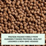 Open Farm, Grain-Free Dry Dog Food for Puppies, Protein-Packed Kibble, Sustainably & Ethically Sourced Ingredients, Non-GMO Veggies & Superfoods, Chicken & Salmon Puppy Recipe, 4lb Bag - Image 4