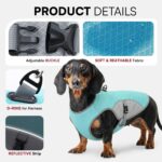 Dog Cooling Jacket for Large Dogs, Pet Cooling Vest with Mesh and D Ring, Dog Reflective Stripe Cooler Jacket for Beach, Hiking, Walking, Blue-L - Image 3