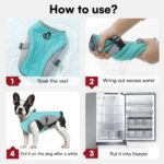 Dog Cooling Jacket for Large Dogs, Pet Cooling Vest with Mesh and D Ring, Dog Reflective Stripe Cooler Jacket for Beach, Hiking, Walking, Blue-L - Image 5