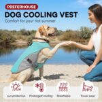 Dog Cooling Jacket for Large Dogs, Pet Cooling Vest with Mesh and D Ring, Dog Reflective Stripe Cooler Jacket for Beach, Hiking, Walking, Blue-L - Image 6