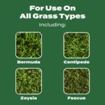 Scotts Turf Builder Lawn Food - Fertilizer for Grass, for All Grass Types, 5,000 sq. ft., 12.5 lb. - Image 7