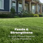 Scotts Turf Builder Lawn Food - Fertilizer for Grass, for All Grass Types, 5,000 sq. ft., 12.5 lb. - Image 9