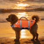 EMUST Dog Life Jacket, XL, NewOrange, Waterproof, Breathable, Adjustable with Rescue Handle, for Swimming Pool Beach Boating - Image 8