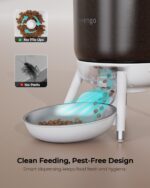 Invengo Automatic Cat Feeder, 3L Timed Pet Feeder for Cats & Small Dogs, Dual Power USB & Battery, Clear Hopper, Easy-Clean, Dry Food & Kibble, Up to 6 Meals Daily - Image 5