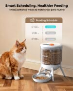 Invengo Automatic Cat Feeder, 3L Timed Pet Feeder for Cats & Small Dogs, Dual Power USB & Battery, Clear Hopper, Easy-Clean, Dry Food & Kibble, Up to 6 Meals Daily - Image 6
