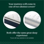 Zinus 12 Inch Comfort Support Hybrid Mattress [New Version], Queen, Fiberglass Free, Medium Plush, Motion Isolation, Certified Safe Foams & Fabric, Mattress in A Box - Image 4